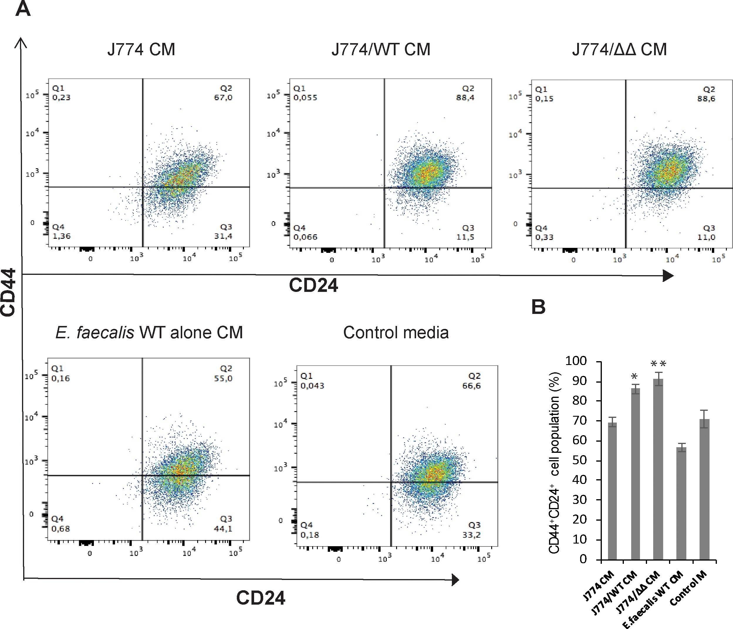 CD24 antibodies - Antibody search engine - CiteAb