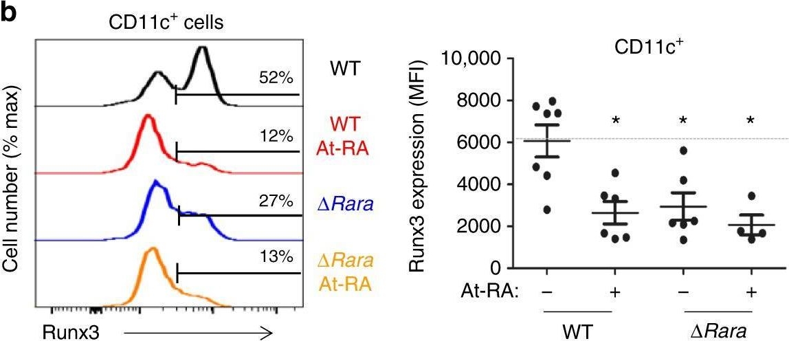 Fig.5.B showing Flow cytometry/Cell sorting from the publication: RARα supports the development of Langerhans cells and langerin-expressing conventional dendritic cells.