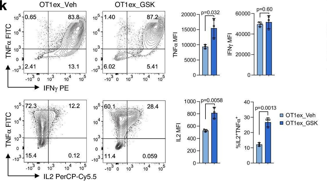 Fig.4.K showing Flow cytometry/Cell sorting in a Mus musculus (House mouse) sample from the publication: Priming with LSD1 inhibitors promotes the persistence and antitumor effect of adoptively transferred T cells.