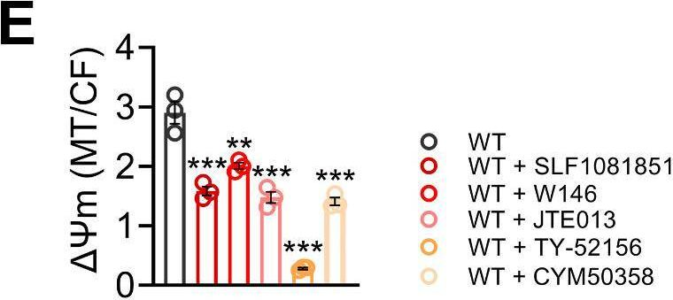Fig.7.E from the publication: Spinster homolog 2/S1P signaling ameliorates macrophage inflammatory response to bacterial infections by balancing PGE2 production.