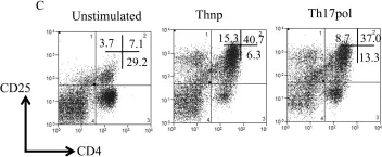 Fig.1.C showing Flow cytometry/Cell sorting in a Homo sapiens (Human) sample from the publication: T cell activation and differentiation is modulated by a CD6 domain 1 antibody Itolizumab.