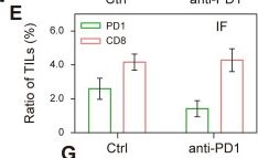 Fig.6.E from the publication: Two-plex in vivo molecular imaging in the second near-infrared window for immunotherapeutic response.