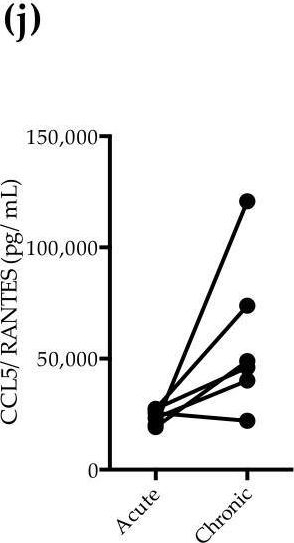 Fig.4.J showing Enzyme-linked immunosorbent assay from the publication: Increased Indoleamine 2,3-Dioxygenase 1 (IDO-1) Activity and Inflammatory Responses during Chikungunya Virus Infection.