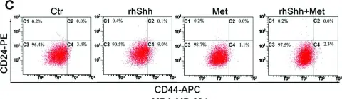 Fig.6.C showing Flow cytometry/Cell sorting from the publication: Metformin exerts anticancer effects through the inhibition of the Sonic hedgehog signaling pathway in breast cancer.