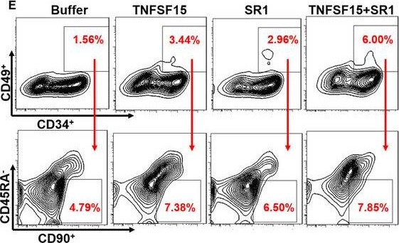 Fig.3.E showing Flow cytometry/Cell sorting in a Homo sapiens (Human) sample from the publication: TNFSF15 facilitates human umbilical cord blood haematopoietic stem cell expansion by activating Notch signal pathway.