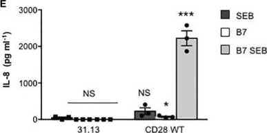 Fig.5.E showing Enzyme-linked immunosorbent assay from the publication: Binding of Staphylococcal Enterotoxin B (SEB) to B7 Receptors Triggers TCR- and CD28-Mediated Inflammatory Signals in the Absence of MHC Class II Molecules.