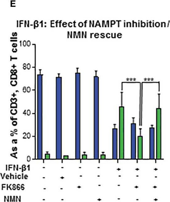 Fig.6.E from the publication: After virus exposure, early bystander naïve CD8 T cell activation relies on NAD+ salvage metabolism.
