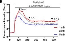 Fig.3.E showing Flow cytometry/Cell sorting in a Mus musculus (House mouse) sample from the publication: Temporal immunomodulation of CD4+ T cells by magnesium regulates osteoimmune responses in osteoporotic fracture healing.