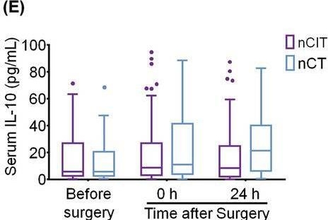 Fig.2.E showing Enzyme-linked immunosorbent assay from the publication: Increased opioid consumption in neoadjuvant immunotherapy plus chemotherapy for patients with non-small-cell lung cancer: A multicenter, prospective cohort study.