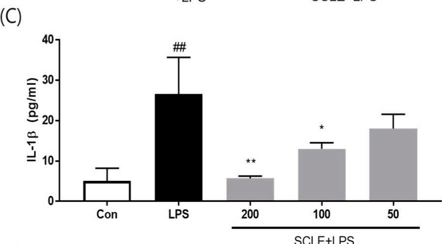 Fig.2.C showing Enzyme-linked immunosorbent assay from the publication: Anti-Inflammatory and Analgesic Effects of Schisandra chinensis Leaf Extracts and Monosodium Iodoacetate-Induced Osteoarthritis in Rats and Acetic Acid-Induced Writhing in Mice.
