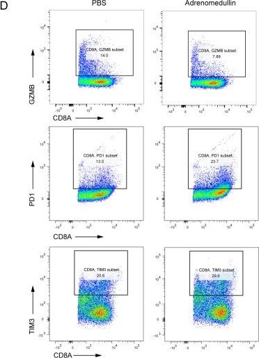 Fig.8.D showing Flow cytometry/Cell sorting in a Mus musculus (House mouse) sample from the publication: Unraveling the role of GPCR signaling in metabolic reprogramming and immune microenvironment of lung adenocarcinoma: a multi-omics study with experimental validation.