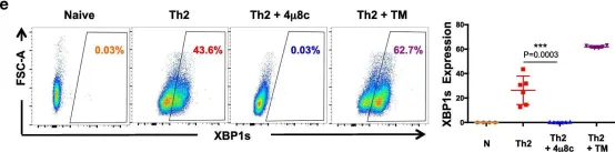 Fig.1.E showing Flow cytometry/Cell sorting in a Mus musculus (House mouse) sample from the publication: Genome-wide analyses reveal the IRE1a-XBP1 pathway promotes T helper cell differentiation by resolving secretory stress and accelerating proliferation.