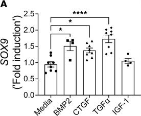 Fig.2.A from the publication: Dysregulated overexpression of Sox9 induces fibroblast activation in pulmonary fibrosis.