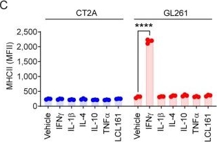 Fig.1.C from the publication: Enhanced glioblastoma immunotherapy via SMAC mimetic dose escalation and TGFβ blockade.