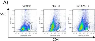 Fig.6.A showing Flow cytometry/Cell sorting from the publication: Trans-sialidase-based vaccine candidate protects against Trypanosoma cruzi infection, not only inducing an effector immune response but also affecting cells with regulatory/suppressor phenotype.