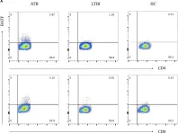 Fig.1.A showing Flow cytometry/Cell sorting from the publication: BATF Potentially Mediates Negative Regulation of PD-1/PD-Ls Pathway on T Cell Functions in Mycobacterium tuberculosis Infection.