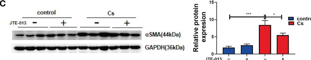 Fig.5.C showing Western Blotting from the publication: Clonorchis sinensis infection induces hepatobiliary injury via disturbing sphingolipid metabolism and activating sphingosine 1-phosphate receptor 2.