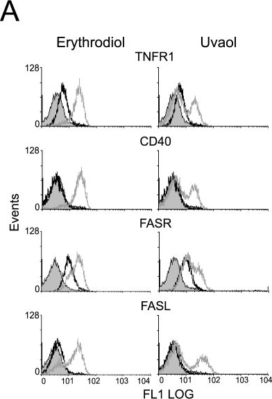 Fig.7.A showing Flow cytometry/Cell sorting in a Homo sapiens (Human) sample from the publication: Natural triterpenic diols promote apoptosis in astrocytoma cells through ROS-mediated mitochondrial depolarization and JNK activation.