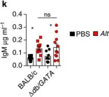 Fig.6.K showing Enzyme-linked immunosorbent assay in a Mus musculus (House mouse) sample from the publication: Fat-associated lymphoid clusters control local IgM secretion during pleural infection and lung inflammation.