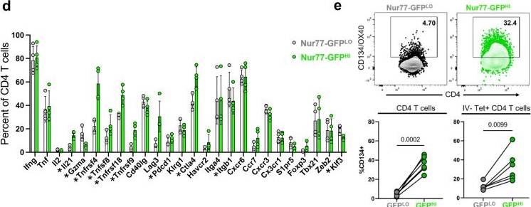 Fig.3.D showing Flow cytometry/Cell sorting in a Mus musculus (House mouse) sample from the publication: Recently activated CD4 T cells in tuberculosis express OX40 as a target for host-directed immunotherapy.