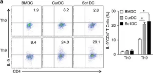 Fig.1.A showing Flow cytometry/Cell sorting in a Mus musculus (House mouse) sample from the publication: Dectin-1-activated dendritic cells trigger potent antitumour immunity through the induction of Th9 cells.