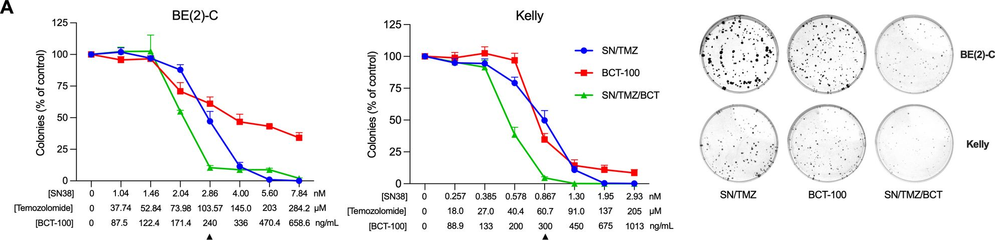 Fig.5.A showing Flow cytometry/Cell sorting from the publication: Arginine depletion potentiates standard-of-care chemo-immunotherapy in preclinical models of high-risk neuroblastoma.