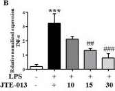 Fig.9.B from the publication: Blocking the Sphingosine-1-Phosphate Receptor 2 (S1P2) Reduces the Severity of Collagen-Induced Arthritis in DBA-1J Mice.