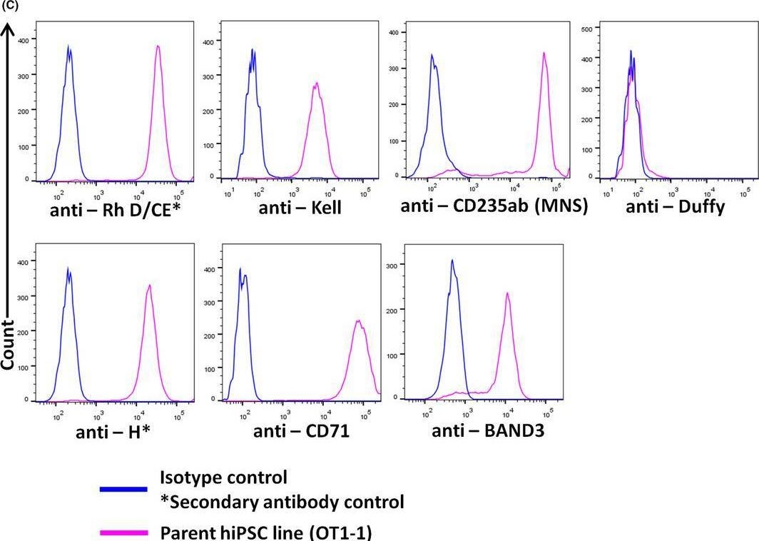 Fig.2.C showing Flow cytometry/Cell sorting in a Homo sapiens (Human) sample from the publication: Generation of 'designer erythroblasts' lacking one or more blood group systems from CRISPR/Cas9 gene-edited human-induced pluripotent stem cells.