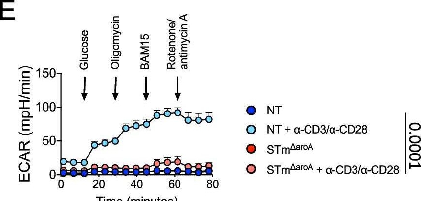 Fig.5.E from the publication: Salmonella cancer therapy metabolically disrupts tumours at the collateral cost of T cell immunity.