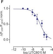 Fig.5.F from the publication: Dynamics of agonist-evoked opioid receptor activation revealed by FRET- and BRET-based opioid receptor conformation sensors.