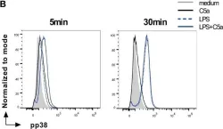 Fig.2.B showing Flow cytometry/Cell sorting in a Homo sapiens (Human) sample from the publication: Anaphylatoxin C5a Regulates 6-Sulfo-LacNAc Dendritic Cell Function in Human through Crosstalk with Toll-Like Receptor-Induced CREB Signaling.