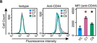 Fig.5.B showing Flow cytometry/Cell sorting from the publication: Molecular characterization of an MLL1 fusion and its role in chromosomal instability.
