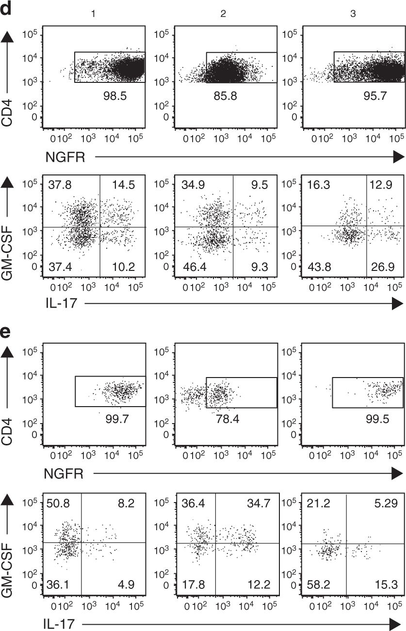 Fig.5.D showing Flow cytometry/Cell sorting in a Mus musculus (House mouse) sample from the publication: Satb1 regulates the effector program of encephalitogenic tissue Th17 cells in chronic inflammation.