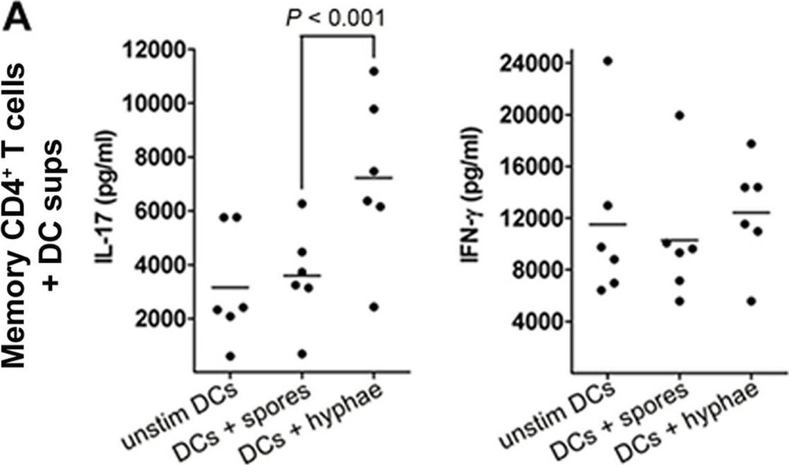 Fig.5.A showing Enzyme-linked immunosorbent assay from the publication: Generation of IL-23 producing dendritic cells (DCs) by airborne fungi regulates fungal pathogenicity via the induction of T(H)-17 responses.