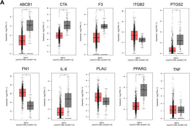 Fig.2.A from the publication: Notoginsenoside R1 (NGR1) regulates the AGE-RAGE signaling pathway by inhibiting RUNX2 expression to accelerate ferroptosis in breast cancer cells.