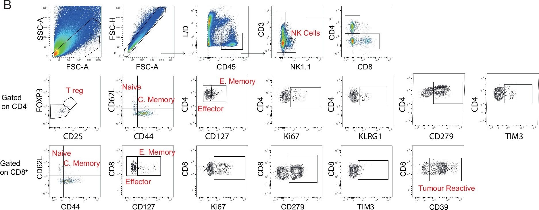 Fig.1.B showing Flow cytometry/Cell sorting in a Mus musculus (House mouse) sample from the publication: Chemosensor receptors are lipid-detecting regulators of macrophage function in cancer.
