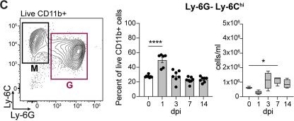 Fig.3.C showing Flow cytometry/Cell sorting from the publication: Induction of myelopoiesis by Candida dubliniensis drives protective trained immunity against sepsis in a Card9-dependent manner.