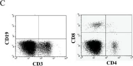 Fig.1.C showing Flow cytometry/Cell sorting from the publication: T lymphocytes derived from human cord blood provide effective antitumor immunotherapy against a human tumor.