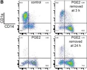 Fig.8.B showing Flow cytometry/Cell sorting in a Homo sapiens (Human) sample from the publication: Prostaglandin E2 Antagonizes TGF-β Actions During the Differentiation of Monocytes Into Dendritic Cells.