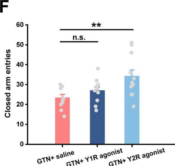Fig.7.F from the publication: Neuropeptide Y in the medial habenula alleviates migraine-like behaviors through the Y1 receptor.