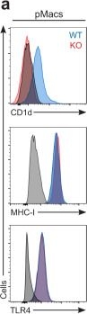 Fig.1.A showing Flow cytometry/Cell sorting in a Mus musculus (House mouse) sample from the publication: CD1d-dependent rewiring of lipid metabolism in macrophages regulates innate immune responses.