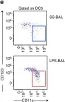Fig.4.E showing Flow cytometry/Cell sorting in a Homo sapiens (Human) sample from the publication: Lipopolysaccharide inhalation recruits monocytes and dendritic cell subsets to the alveolar airspace.