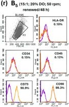 Fig.3.R showing Flow cytometry/Cell sorting from the publication: Genotoxicity Integration into Bioprocess Optimization Reveals Progressive DNA Damage During Bioreactor Expansion of Adipose-Derived Stem Cells.