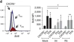 Fig.3.D showing Flow cytometry/Cell sorting in a Homo sapiens (Human) sample from the publication: Follicular regulatory T cells impair follicular T helper cells in HIV and SIV infection.