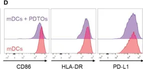 Fig.4.D showing Flow cytometry/Cell sorting from the publication: Dendritic cell phenotype and function in a 3D co-culture model of patient-derived metastatic colorectal cancer organoids.