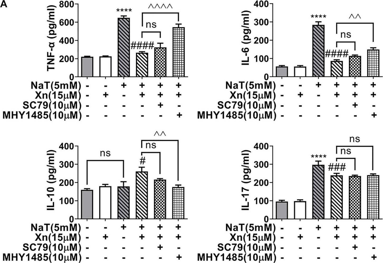 Fig.6.A showing Enzyme-linked immunosorbent assay from the publication: Xanthohumol alleviates oxidative stress and impaired autophagy in experimental severe acute pancreatitis through inhibition of AKT/mTOR.