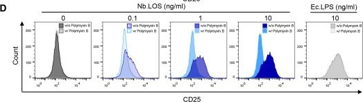 Fig.5.D showing Flow cytometry/Cell sorting in a Mus musculus (House mouse) sample from the publication: Neisseria bacilliformis is a periodontal pathogen exacerbating periodontitis by inducing nitric oxide production.