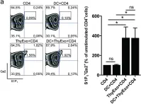 Fig.3.A showing Flow cytometry/Cell sorting in a Mus musculus (House mouse) sample from the publication: Thymic exosomes promote the final maturation of thymocytes.