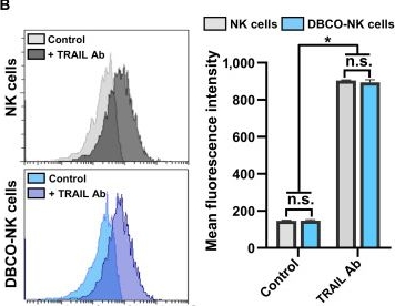 Fig.5.B showing Flow cytometry/Cell sorting in a Homo sapiens (Human) sample from the publication: Development of Natural Killer Cell-Drug Conjugates via Membrane-Installed Liposomes for Pancreatic Cancer Treatment.