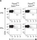 Fig.1.C showing Flow cytometry/Cell sorting in a Mus musculus (House mouse) sample from the publication: Satb1 regulates the effector program of encephalitogenic tissue Th17 cells in chronic inflammation.
